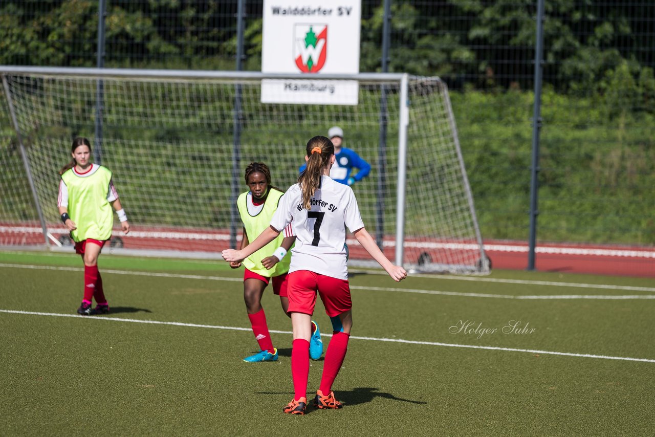 Bild 62 - wCJ Walddoerfer - Concordia : Ergebnis: 0:1